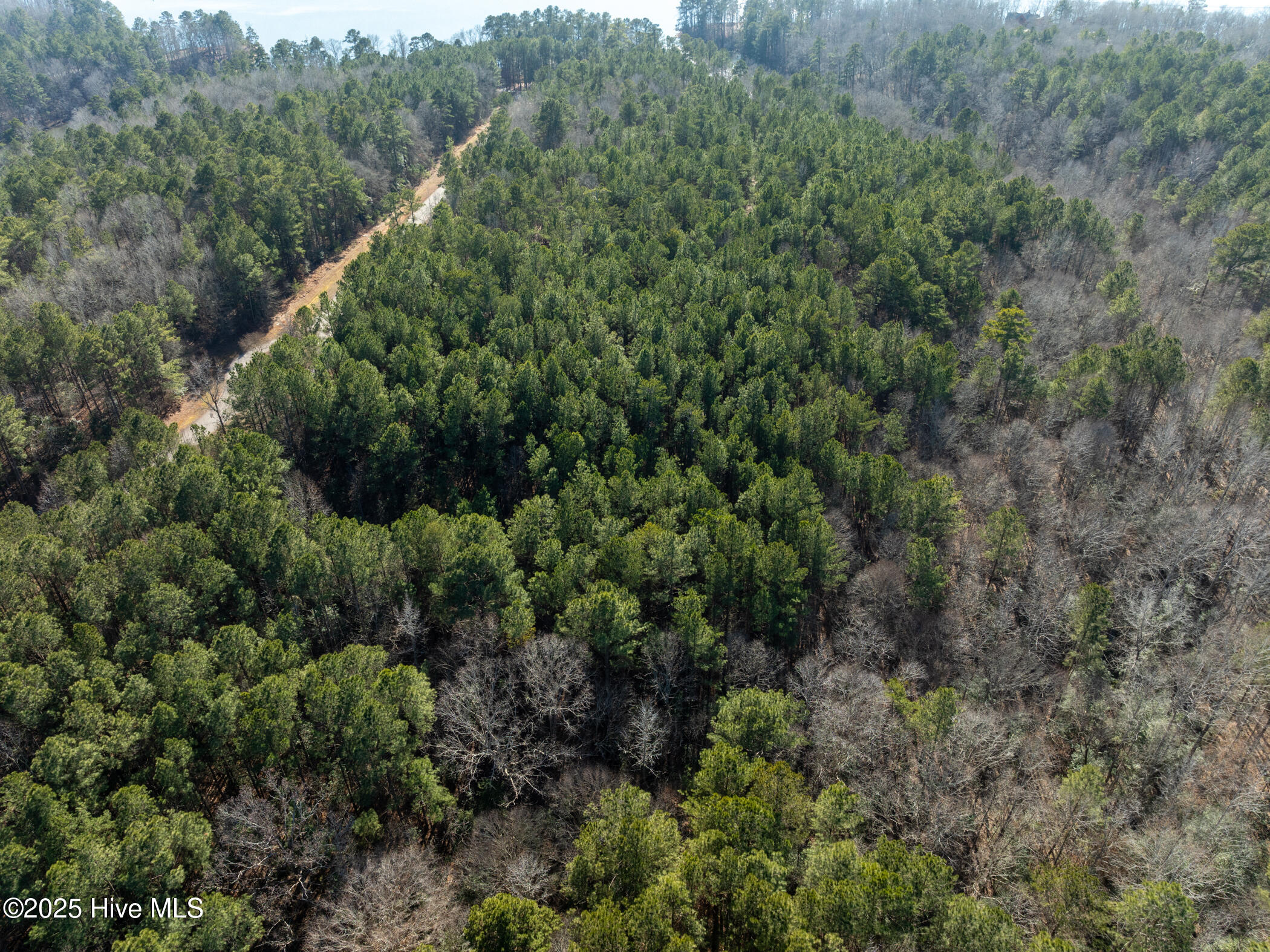 141 North State Lane Rockingham, NC 28379 - Photo 12 of 17 141 N State Ln