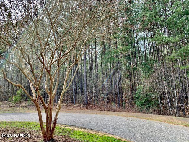 141 North State Lane Rockingham, NC 28379 - Photo 15 of 17 141 N State Ln