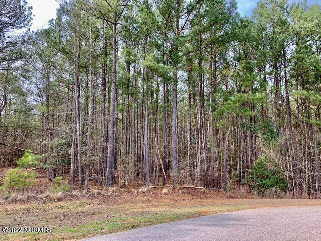 141 North State Lane Rockingham, NC 28379 - Photo 17 of 17 141 n State Ln
