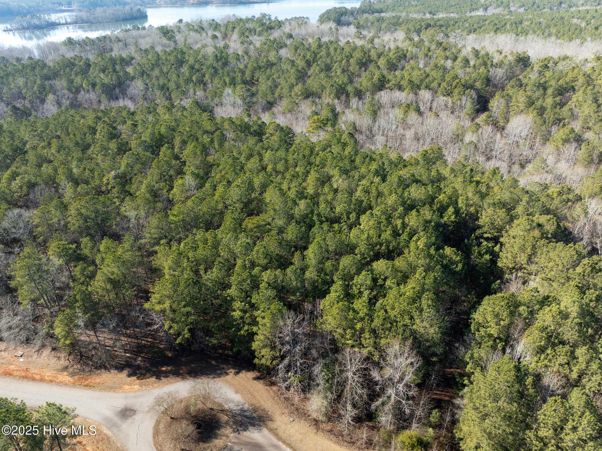 141 North State Lane Rockingham, NC 28379 - Photo 3 of 17 141 N State Ln