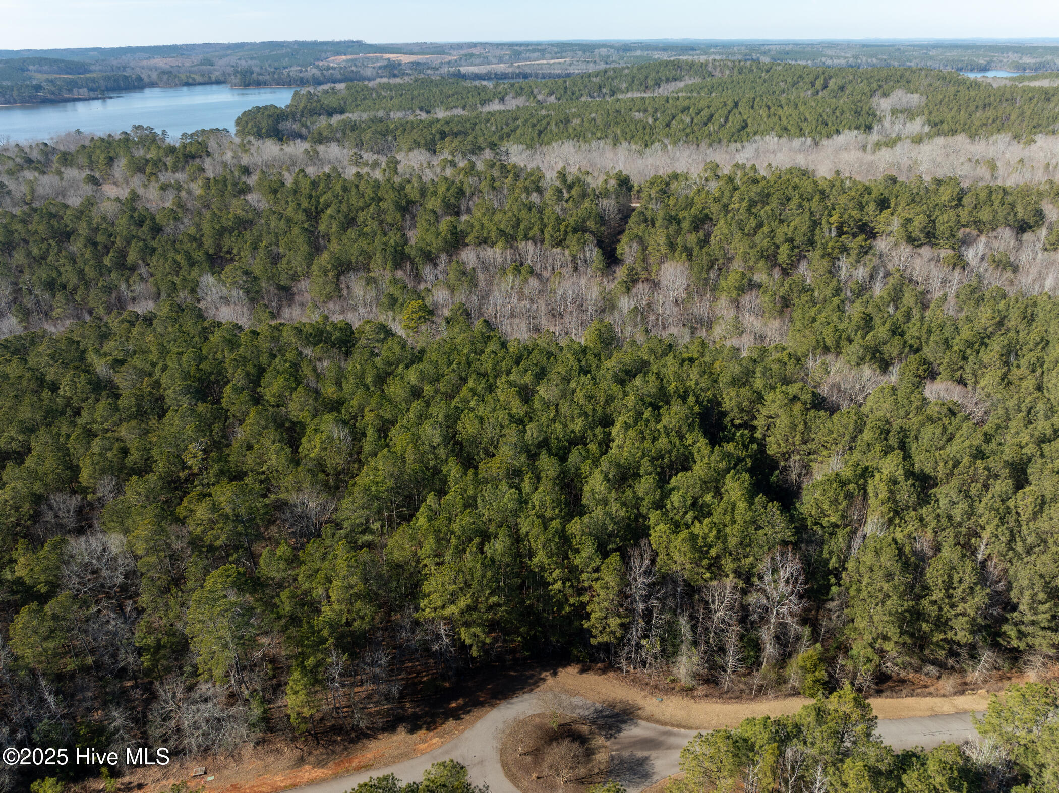 141 North State Lane Rockingham, NC 28379 - Photo 4 of 17 141 N State Ln