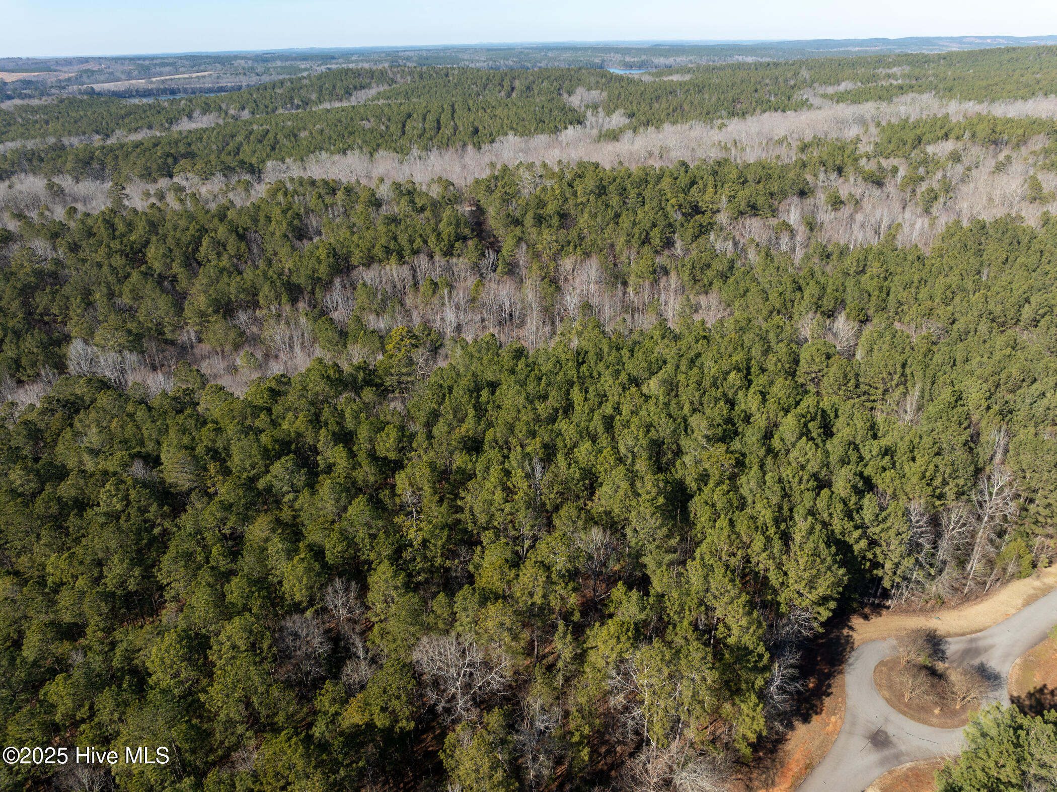 141 North State Lane Rockingham, NC 28379 - Photo 6 of 17 141 N State Ln