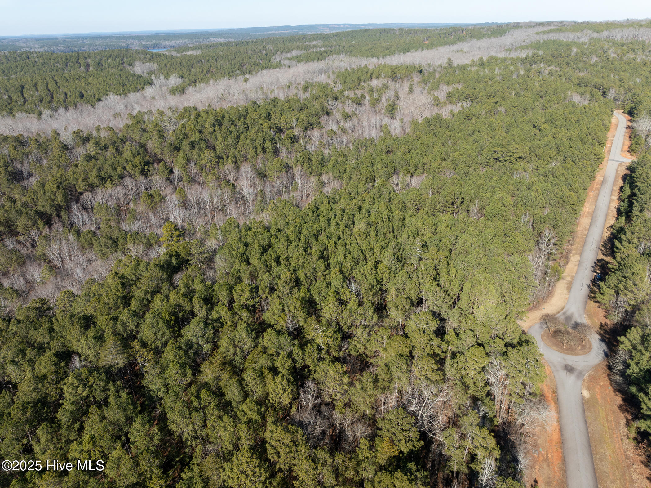 141 North State Lane Rockingham, NC 28379 - Photo 7 of 17 141 N State Ln