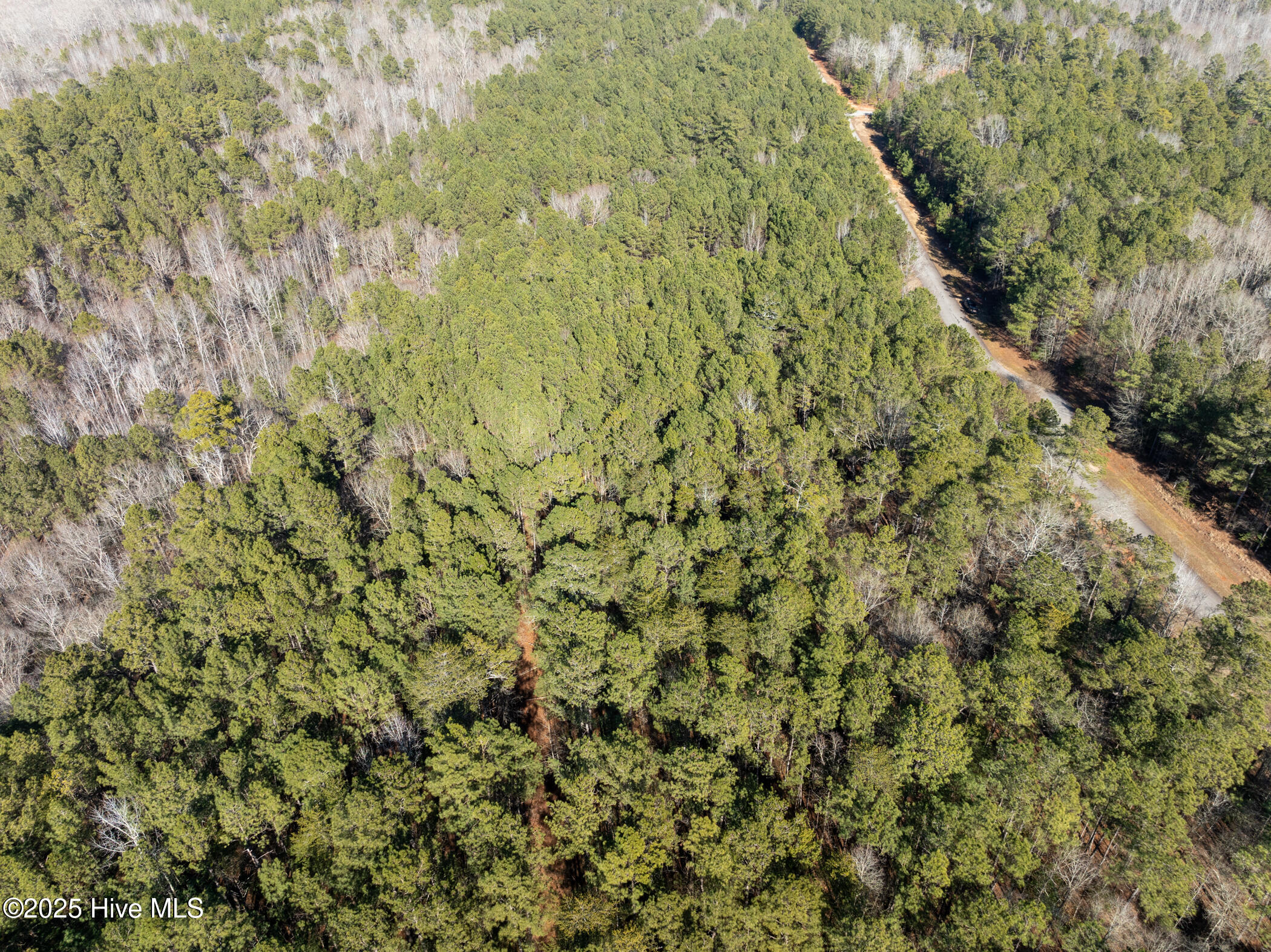 141 North State Lane Rockingham, NC 28379 - Photo 8 of 17 141 N State Ln