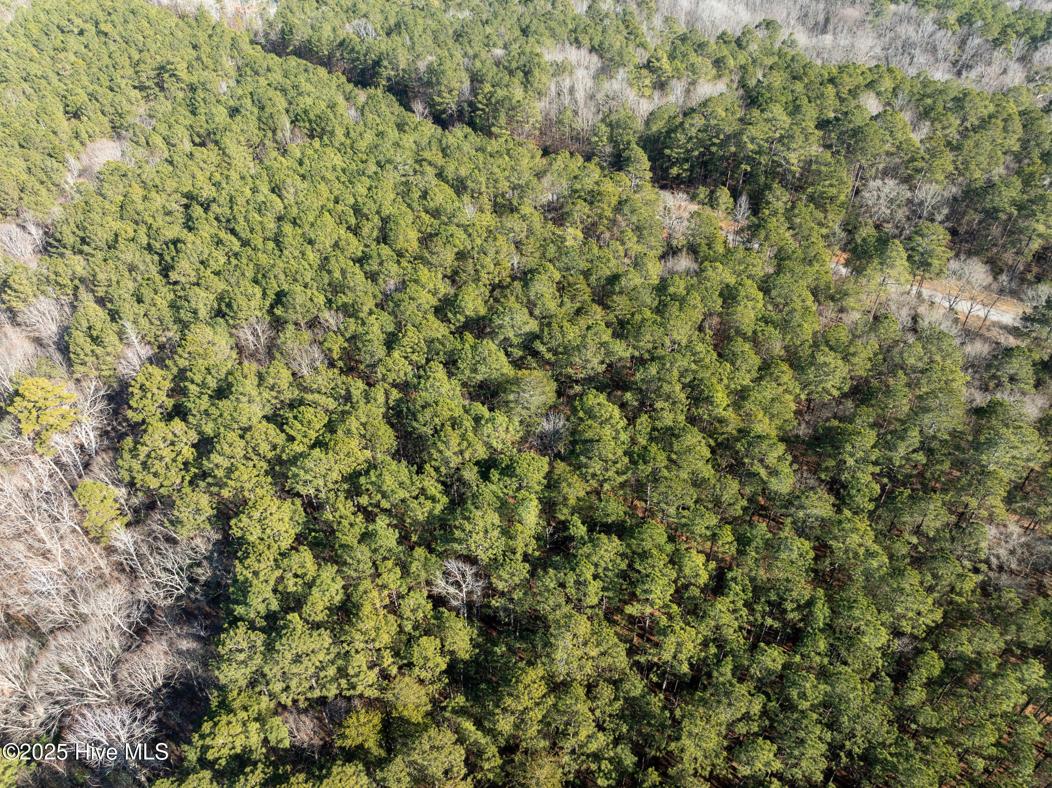 141 North State Lane Rockingham, NC 28379 - Photo 9 of 17 141 N State Ln