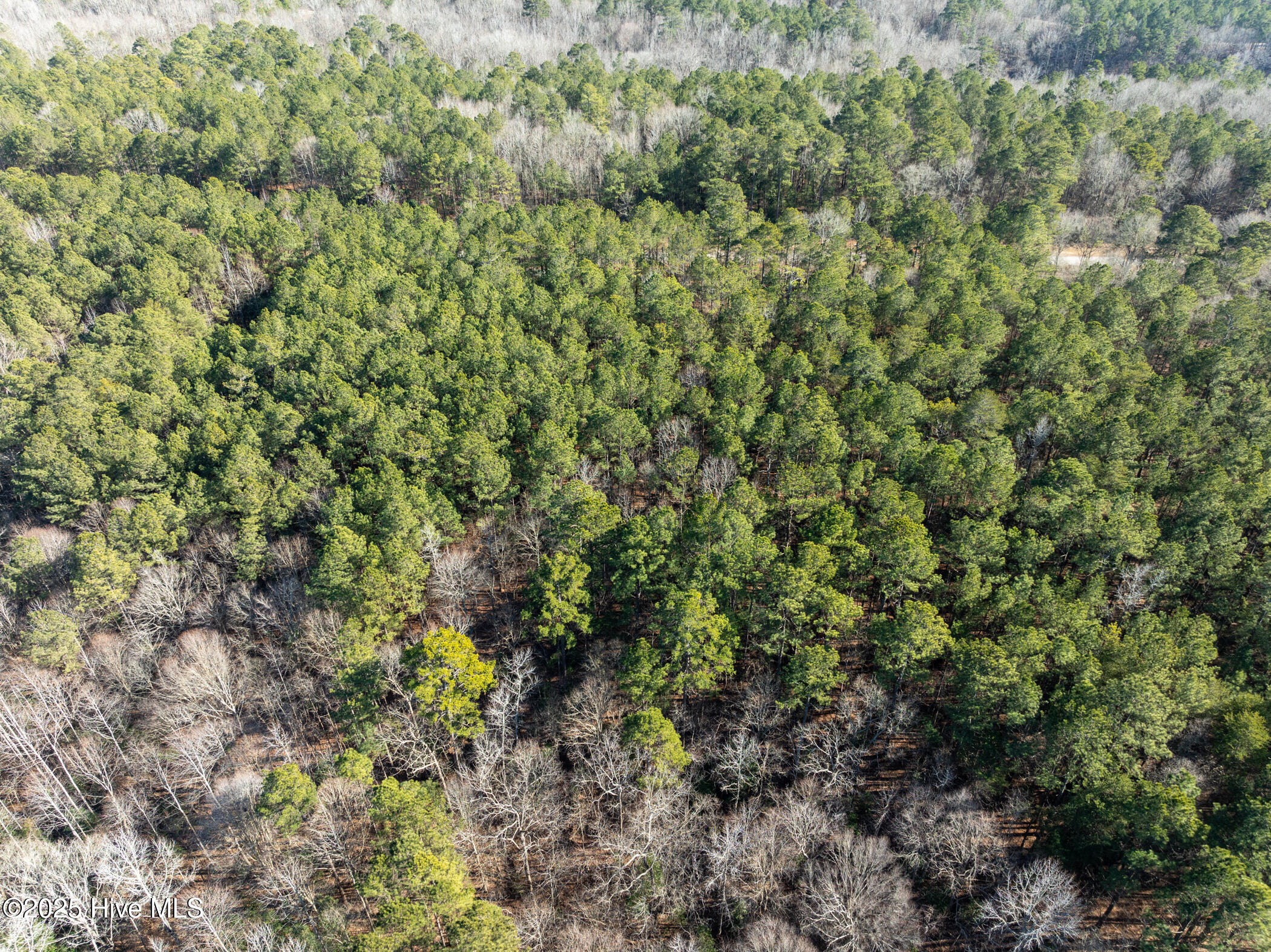 141 North State Lane Rockingham, NC 28379 - Photo 10 of 17 141 N State Ln