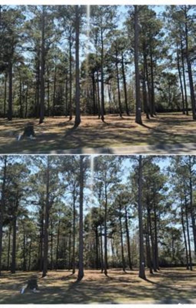 1152 Fiddlehead Way Myrtle Beach, SC 29579 - Photo 1 of 5