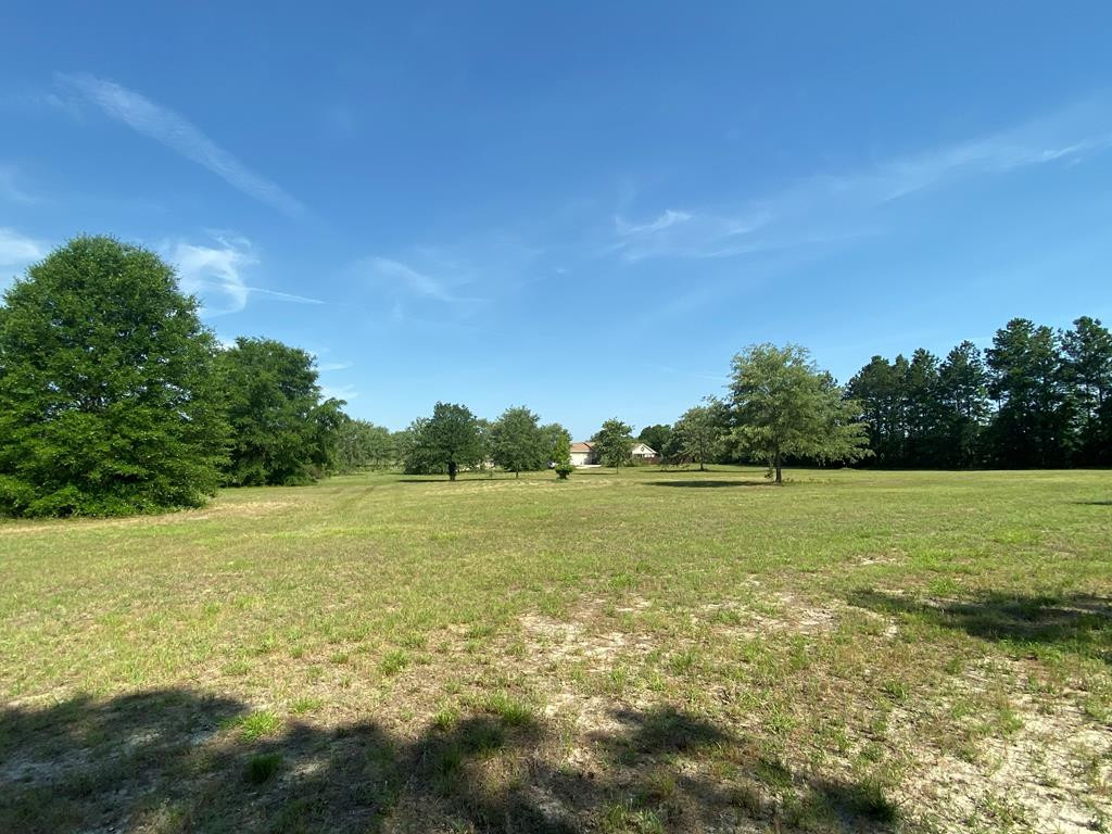 349 North Windsor Road Windsor, SC 29856 - Photo 38 of 44