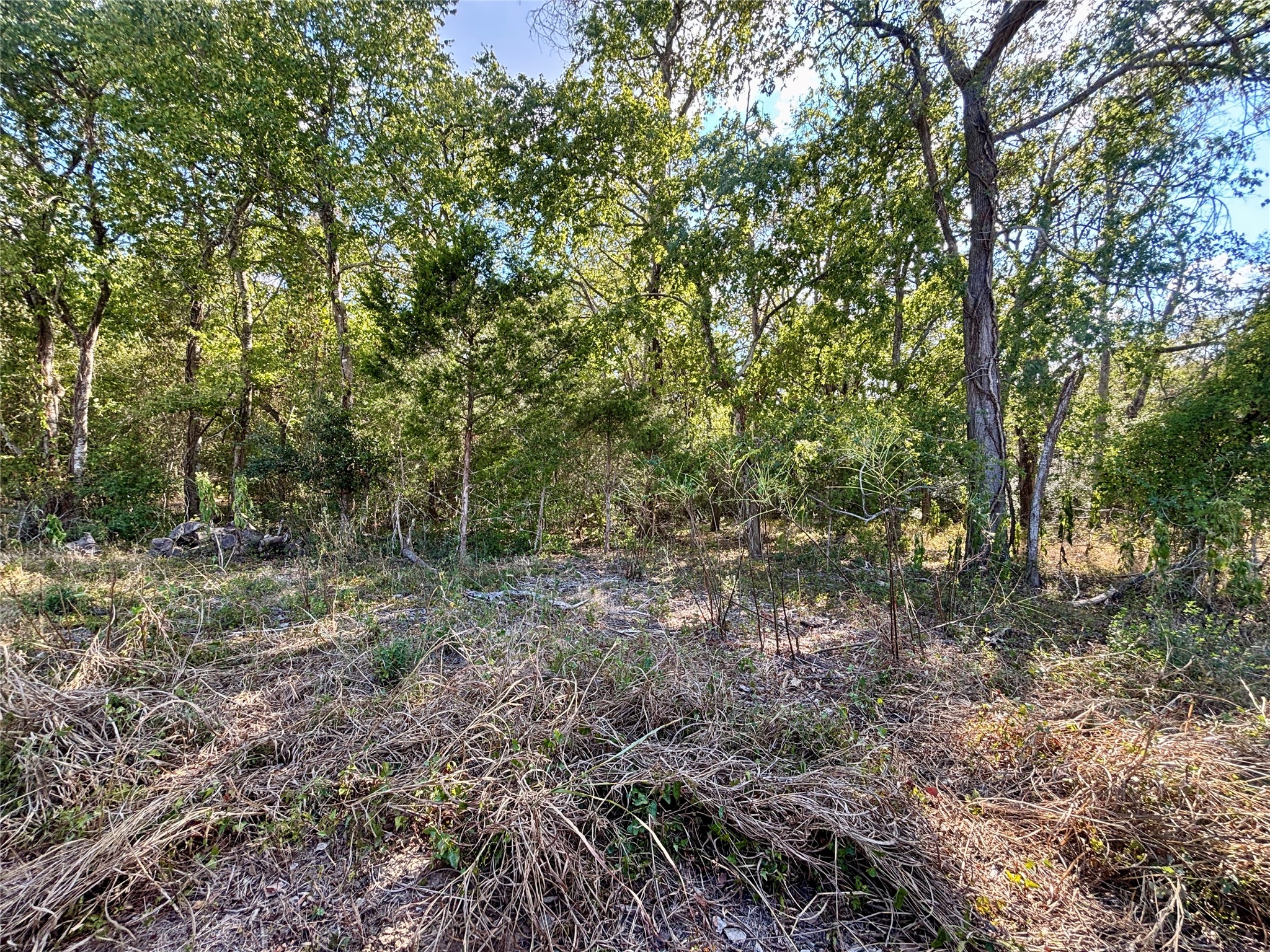 Tbd Bateman Road Red Rock, TX 78662 - Photo 8 of 16 Gallery Image 8
