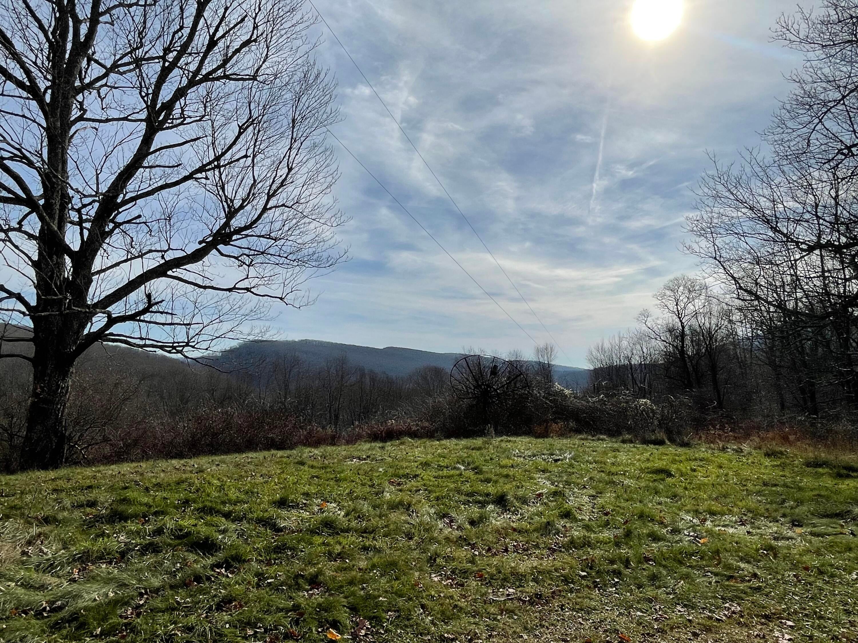 12593 Back Mountain Road Durbin, WV 26264 - Photo 3 of 84 Gallery Image 3