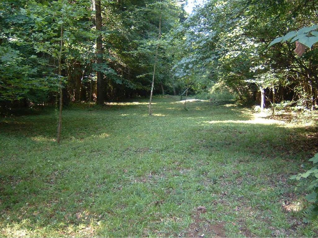 0 Chapman Road Roberta, GA 31078 - Photo 1 of 19 a view of a park