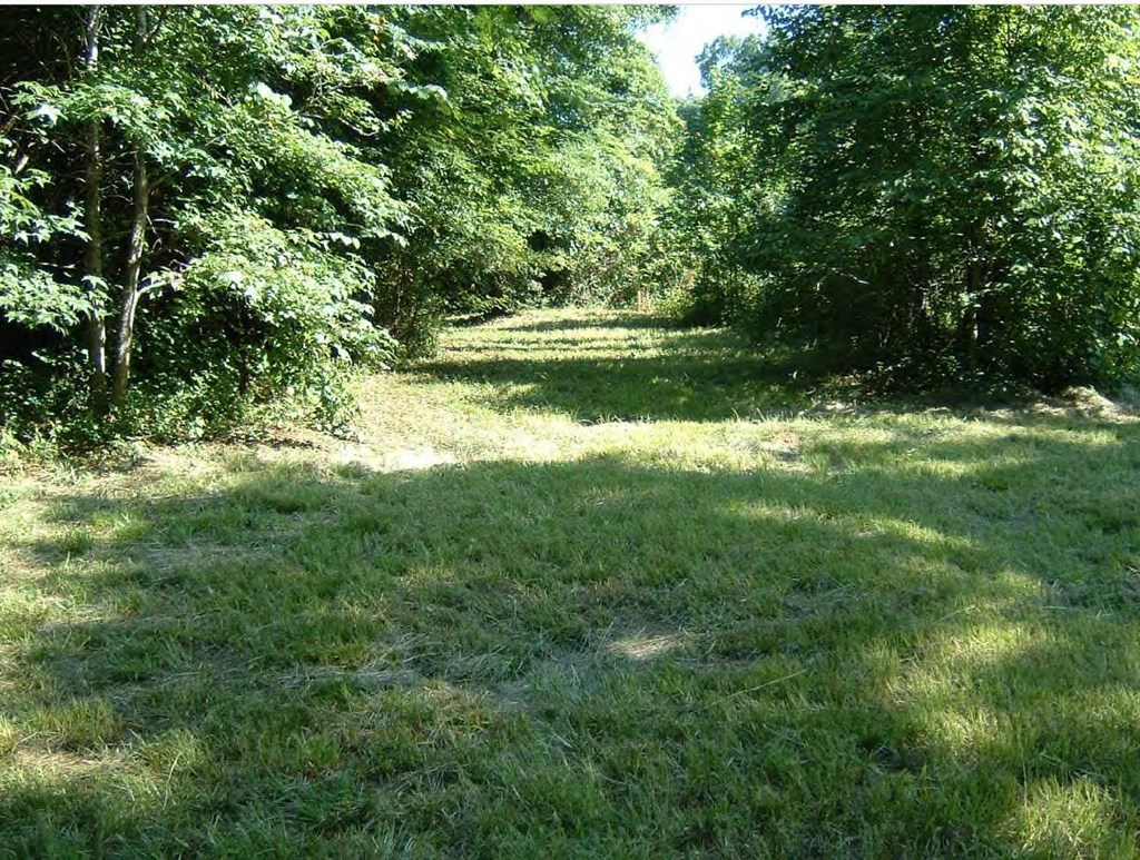 0 Chapman Road Roberta, GA 31078 - Photo 11 of 19 a view of outdoor space and yard
