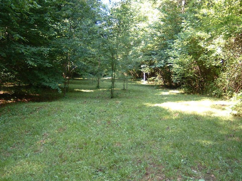 0 Chapman Road Roberta, GA 31078 - Photo 12 of 19 a view of a tree in a yard