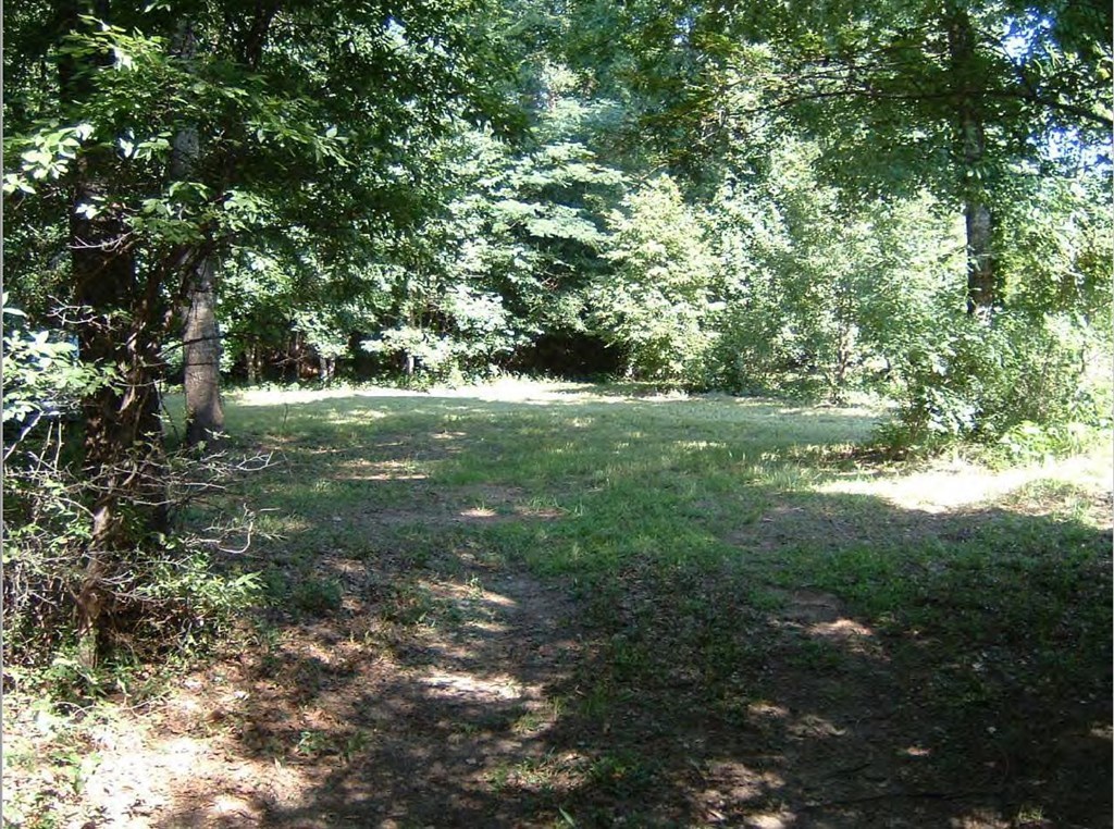 0 Chapman Road Roberta, GA 31078 - Photo 13 of 19 a view of outdoor space and yard