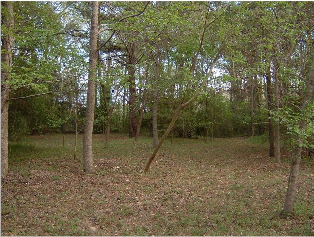 0 Chapman Road Roberta, GA 31078 - Photo 14 of 19 a view of a outdoor space