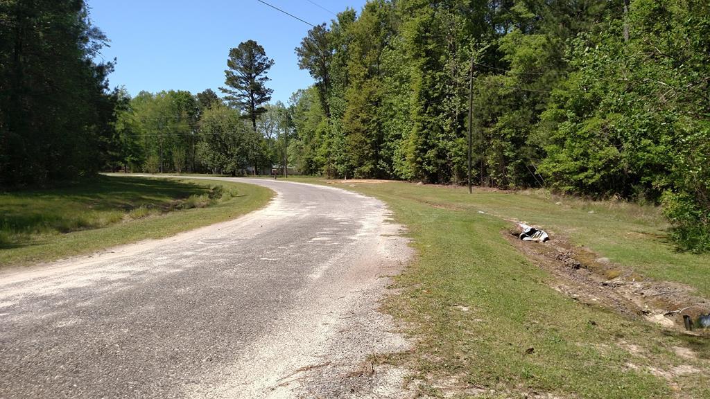 0 Chapman Road Roberta, GA 31078 - Photo 3 of 19 a view of a yard with trees