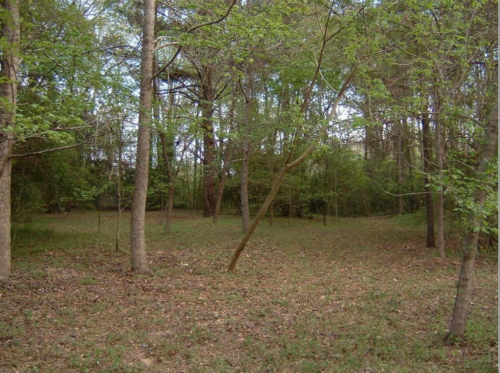 0 Chapman Road Roberta, GA 31078 - Photo 6 of 19