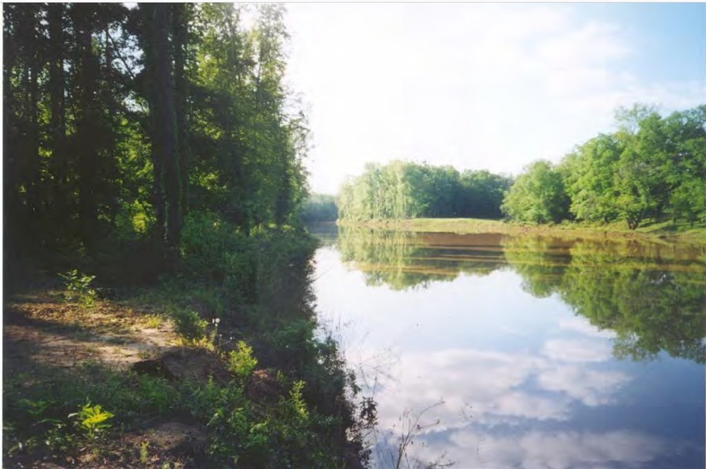 0 Chapman Road Roberta, GA 31078 - Photo 8 of 19 a view of a lake from a yard