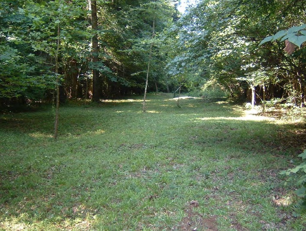 0 Chapman Road Roberta, GA 31078 - Photo 9 of 19 a view of a park