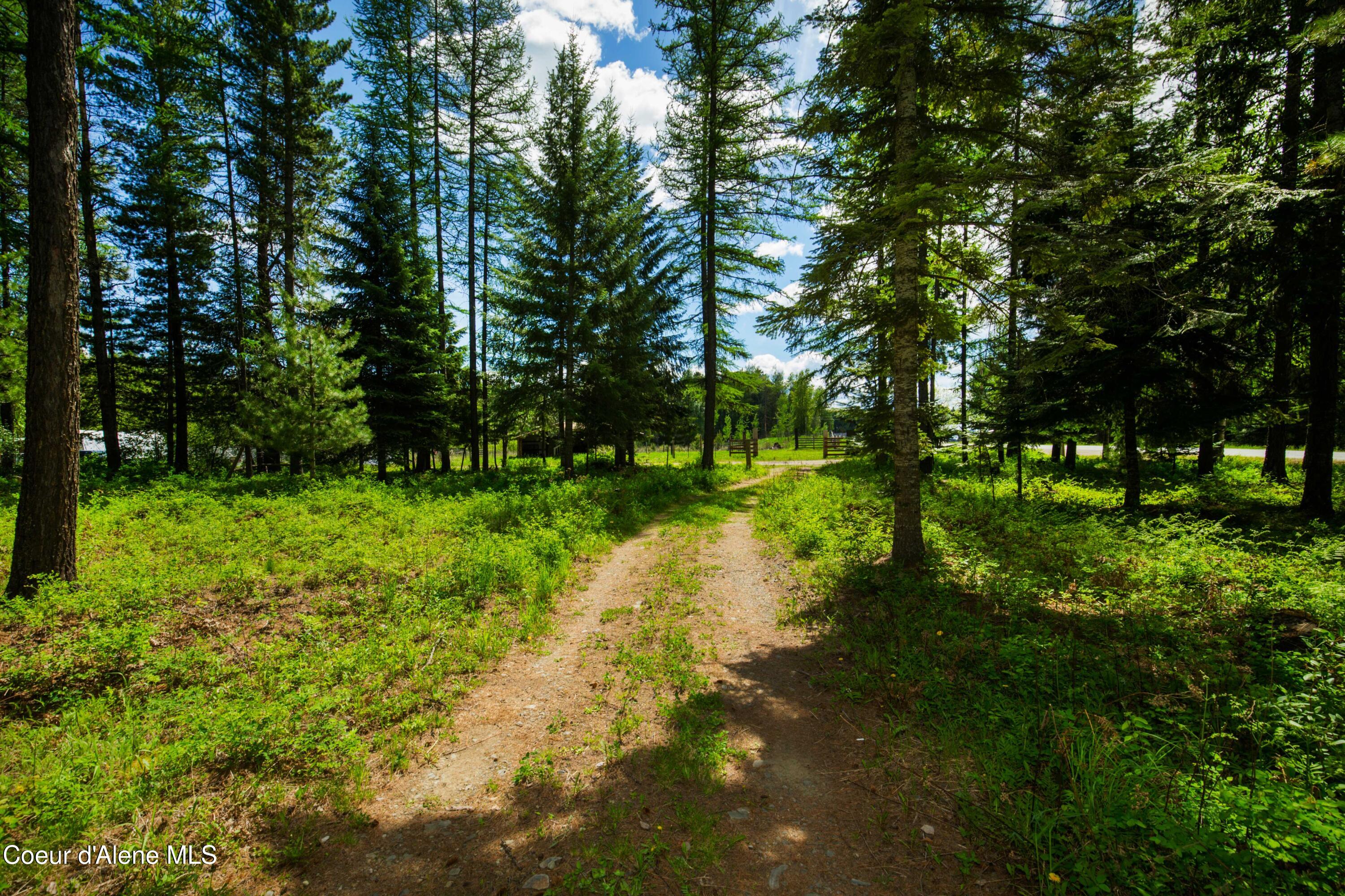 41 Pinecone Road Sandpoint, ID 83864 - Photo 60 of 61 41PR_05