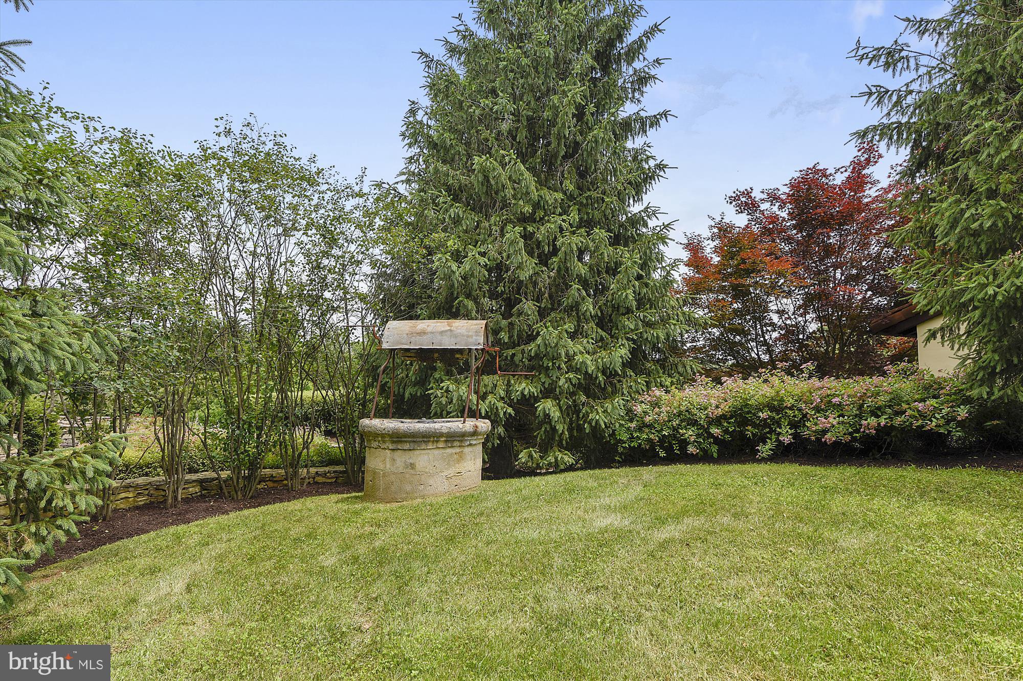 2547 Halfway Road The Plains, VA 20198 - Photo 85 of 90 a view of a garden with large trees