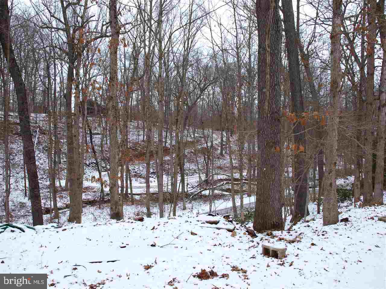600 Hollow Road Delta, PA 17314 - Photo 12 of 36 Gallery Image 12