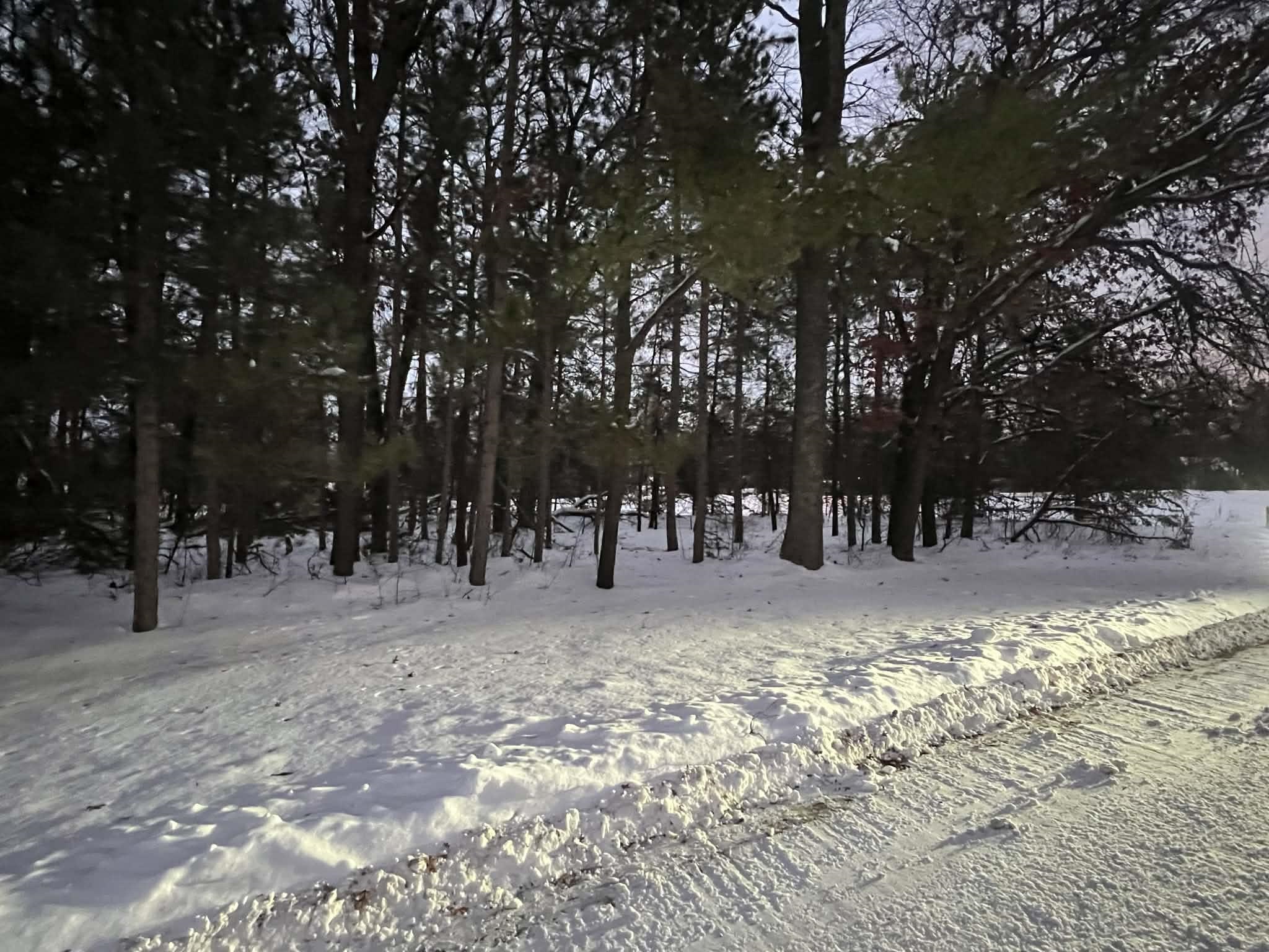 Lot 37-38 Temple Heights Road Harrison, MI 48625 - Photo 2 of 3