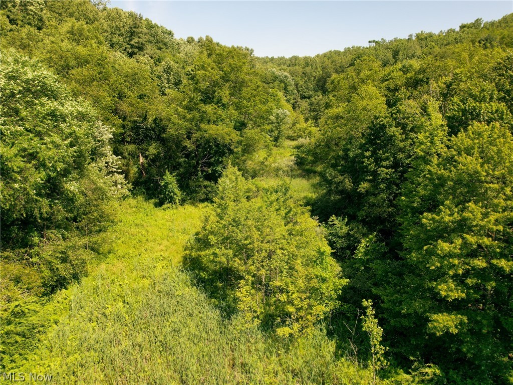 9809 Hilltop Road Baltic, OH 43804 - Photo 5 of 29 Gallery Image 5