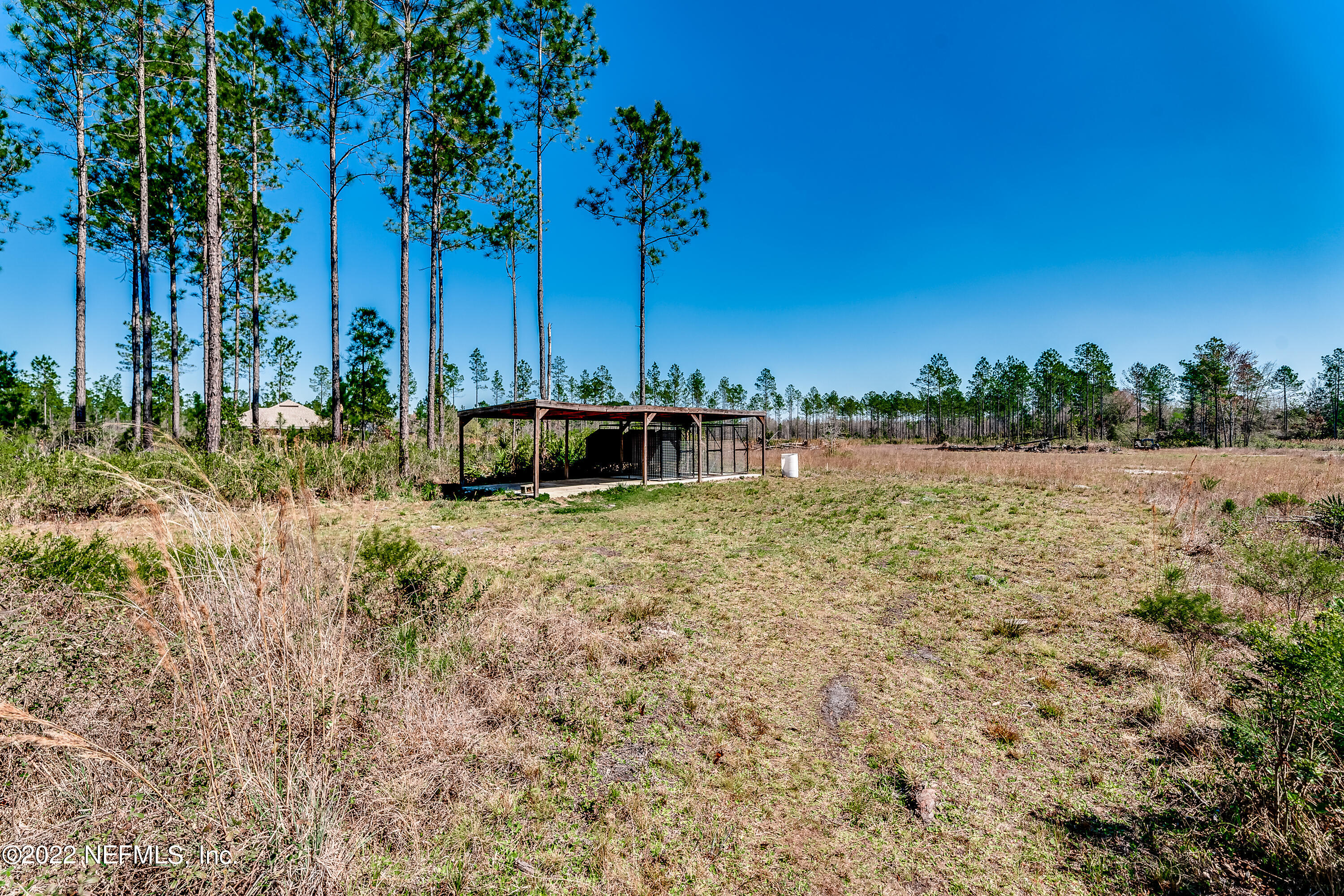 9143 McClelland Road Jacksonville, FL 32234 - Photo 32 of 37 a backyard of a house with lots of green space