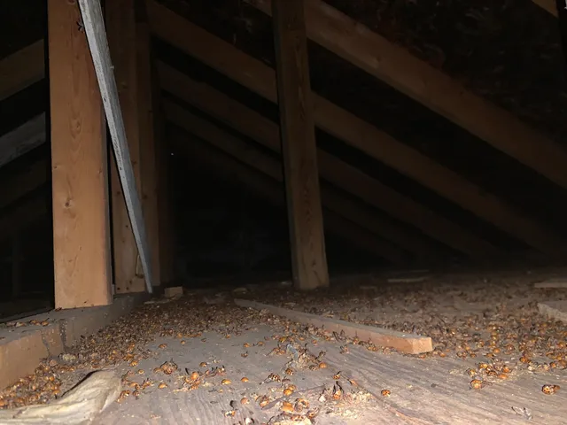 $56,500 | 62344 County Road 4, Kellogg, MN 55945