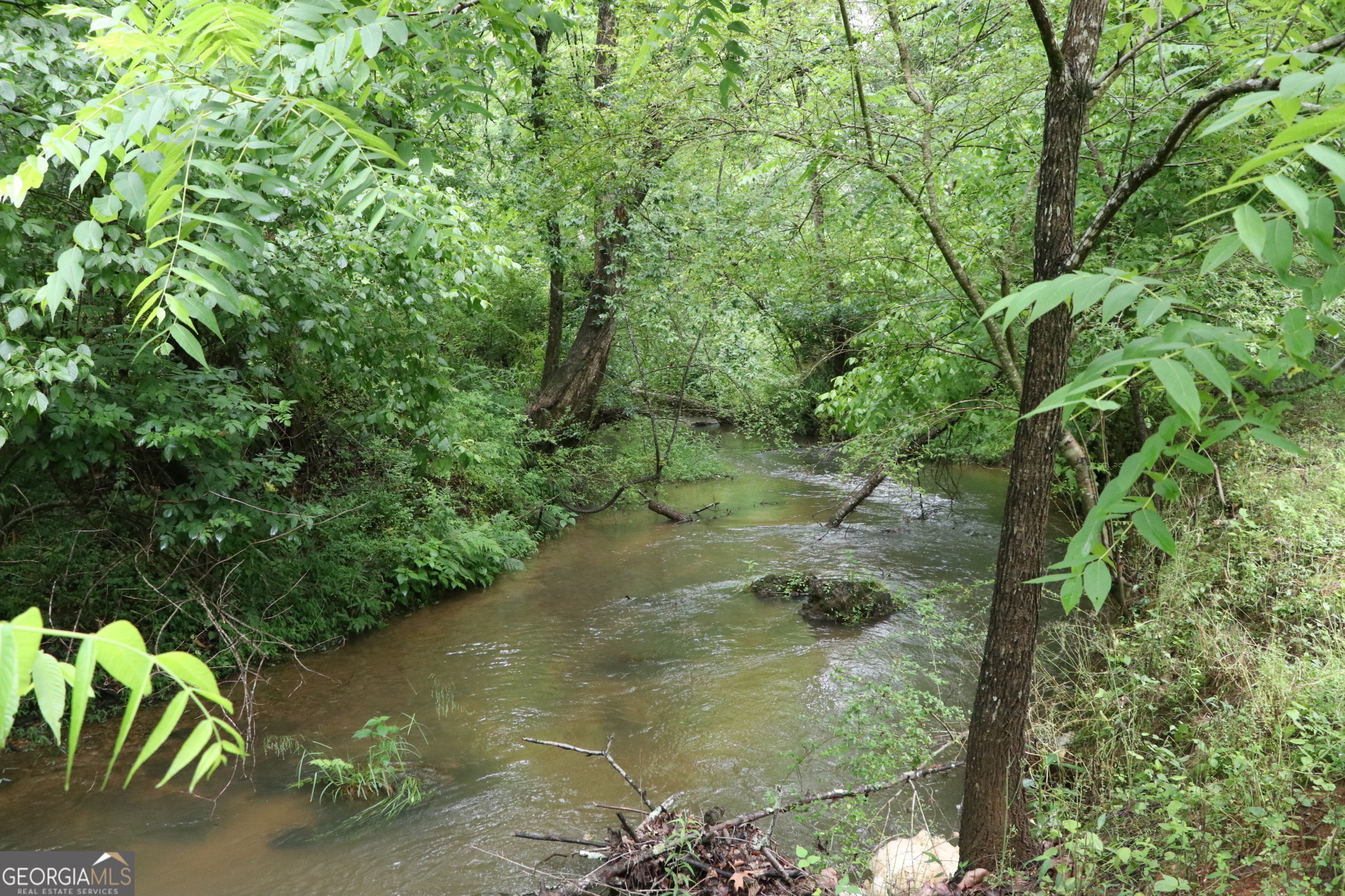 833 Neal Gap Road Summerville, GA 30747 - Photo 10 of 86