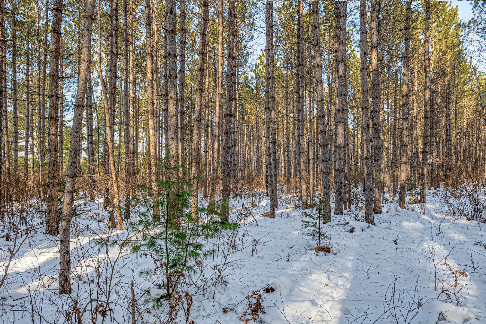 Off Deerskin Road, Unit LOT 5 Eagle River, WI 54521 - Photo 13 of 26 Gallery Image 13