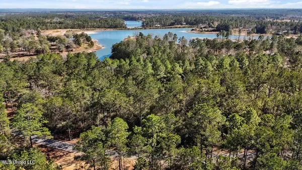 $39,900 | Lot 17 Mitchell Road, Leakesville, MS 39451