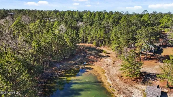 $39,900 | Lot 17 Mitchell Road, Leakesville, MS 39451