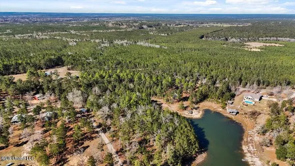 $39,900 | Lot 17 Mitchell Road, Leakesville, MS 39451