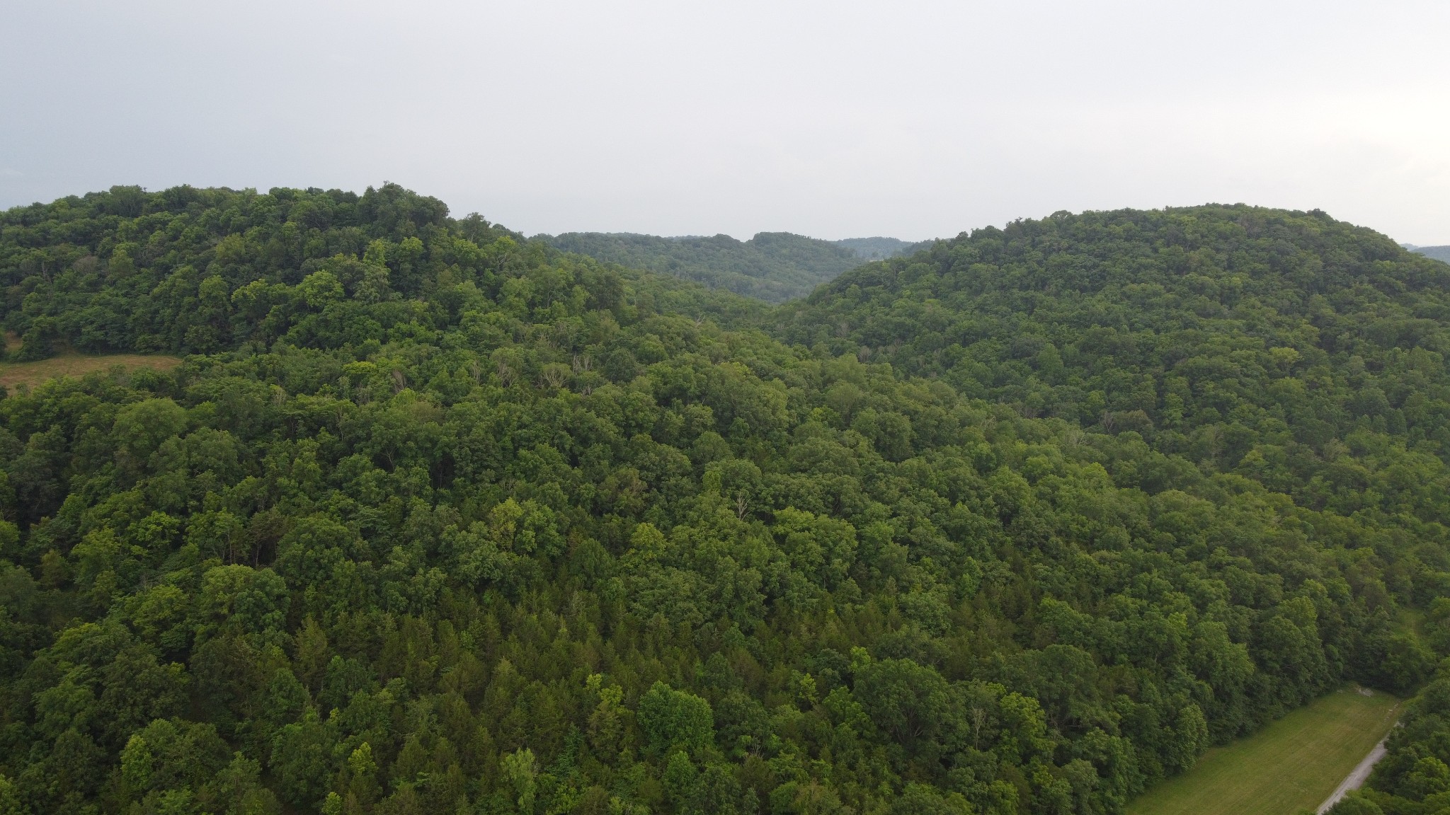 0 Hackett Hollow Road Pleasant Shade, TN 37145 - Photo 7 of 9 a view of a large mountain
