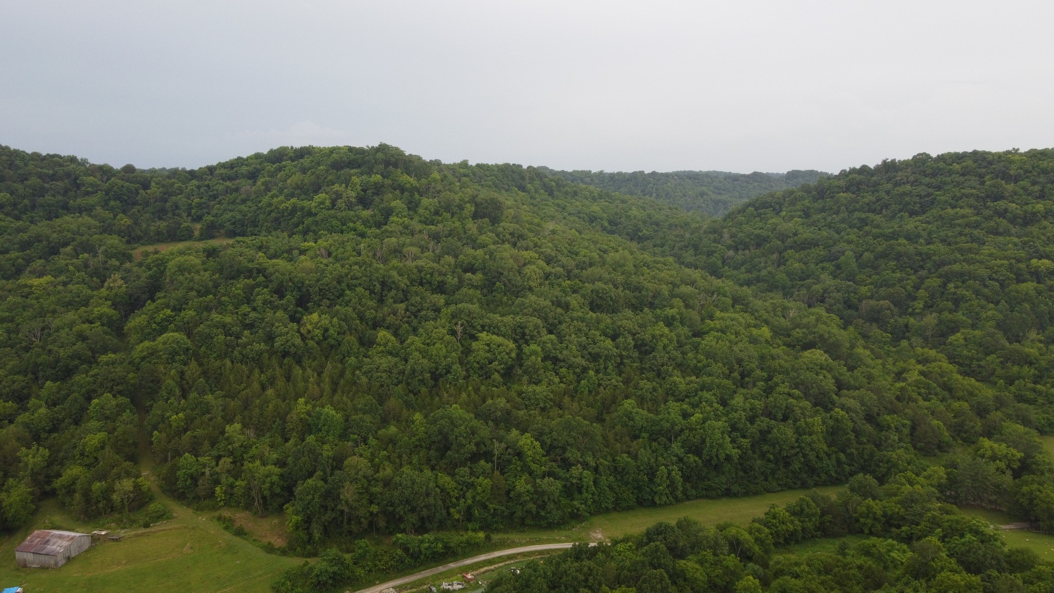0 Hackett Hollow Road Pleasant Shade, TN 37145 - Photo 8 of 9 a view of a field of grass and trees