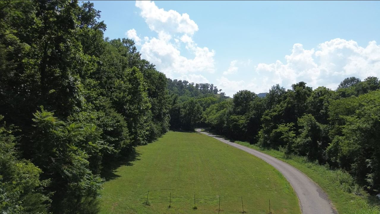 0 Hackett Hollow Road Pleasant Shade, TN 37145 - Photo 9 of 9 a view of a green yard