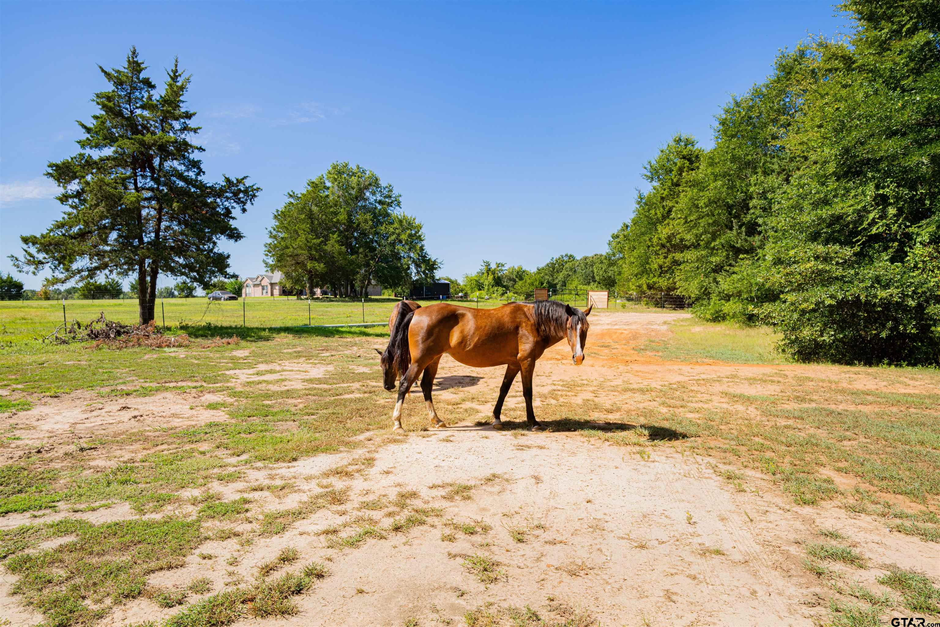 7635 Highway 271 Mount Pleasant, TX 75455 - Photo 37 of 46