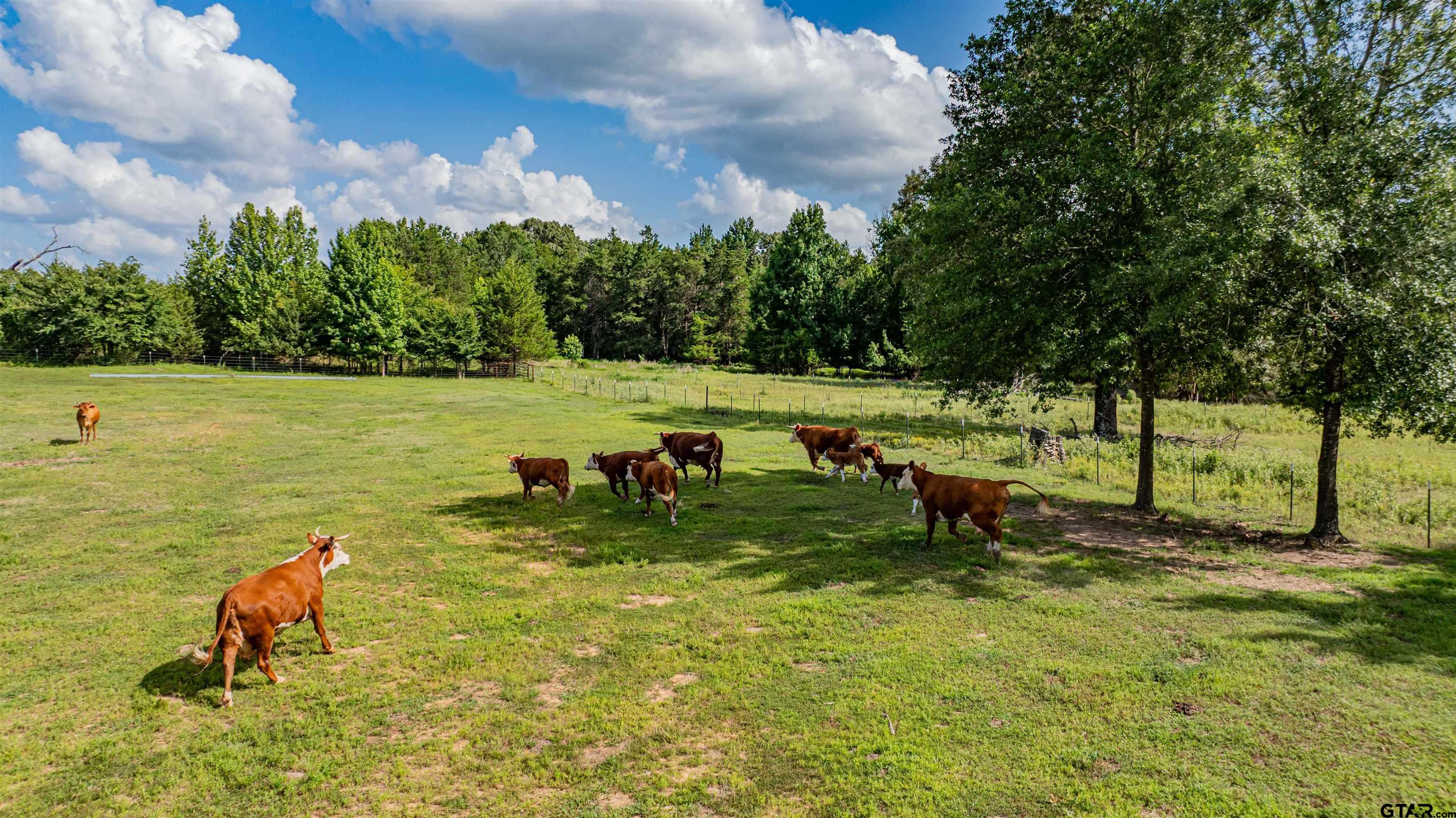 7635 Highway 271 Mount Pleasant, TX 75455 - Photo 38 of 46