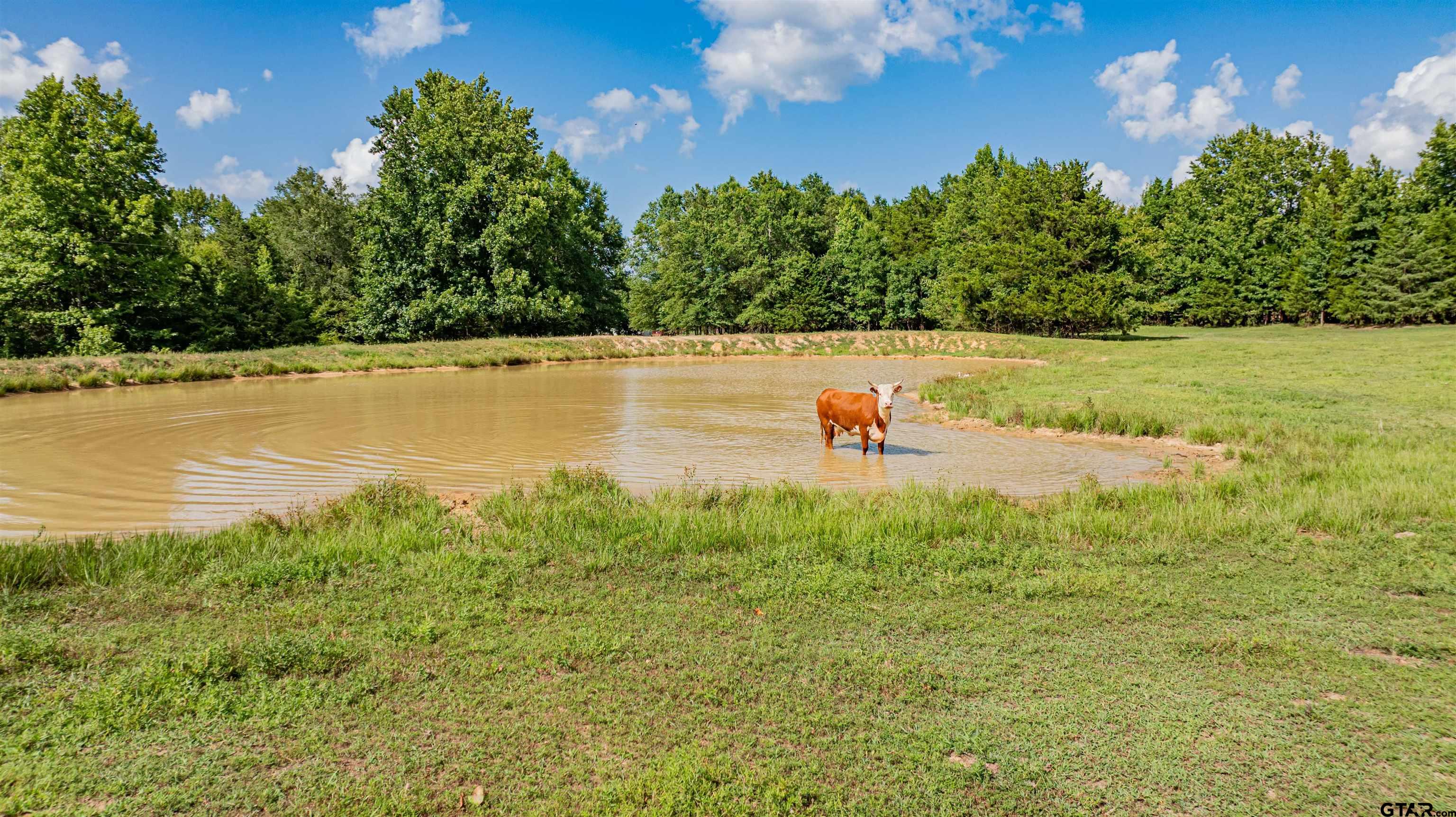 7635 Highway 271 Mount Pleasant, TX 75455 - Photo 39 of 46