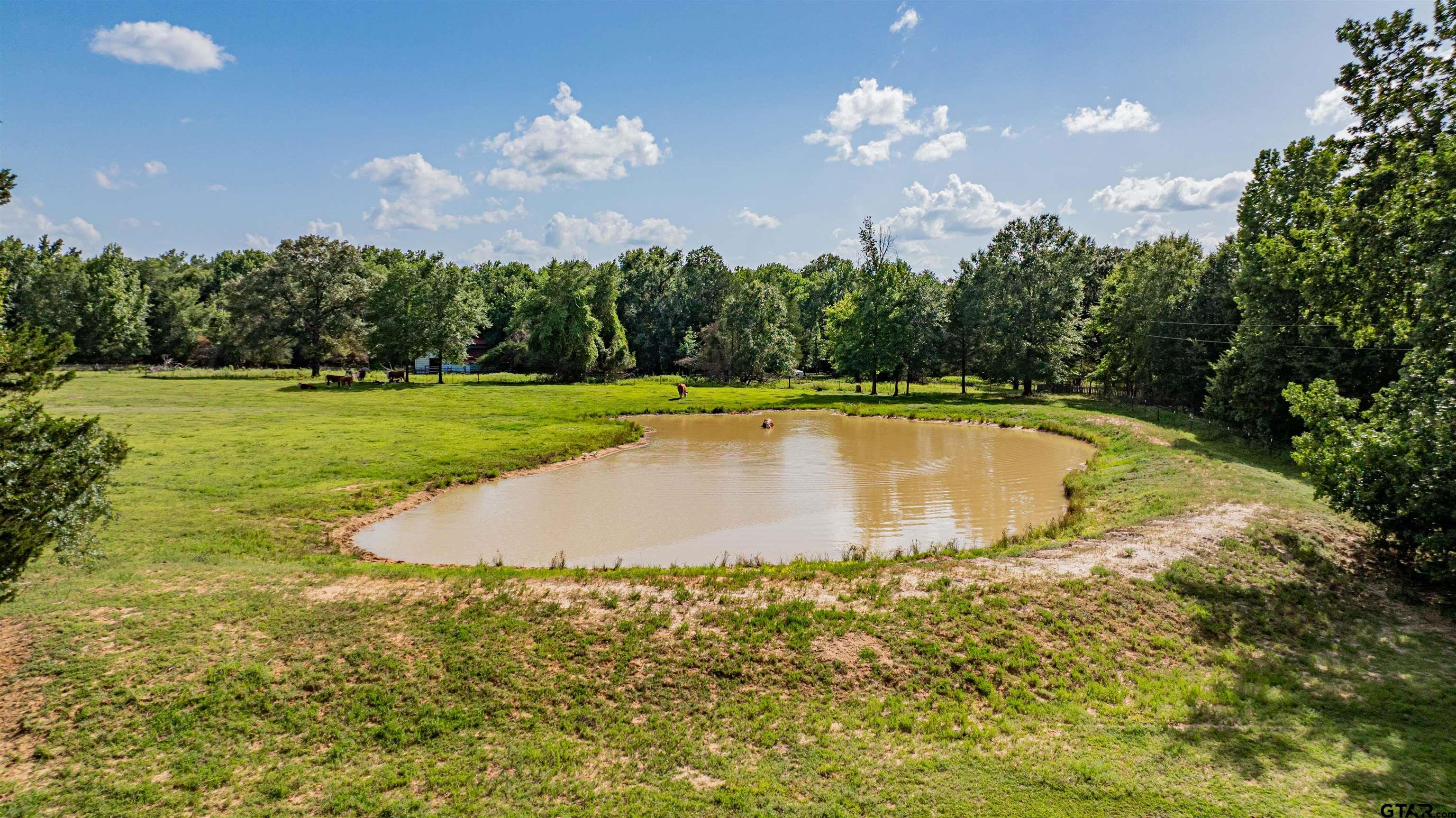 7635 Highway 271 Mount Pleasant, TX 75455 - Photo 41 of 46