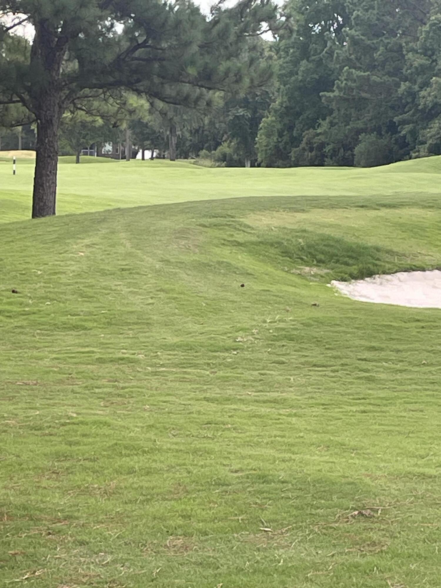 112 Amanda Circle Goose Creek, SC 29445 - Photo 44 of 46 IMG_3041