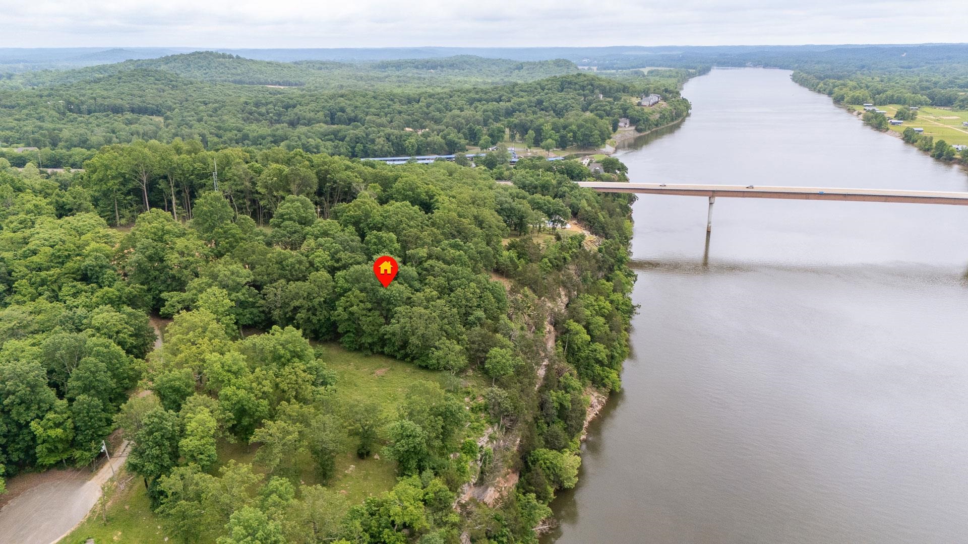 a view of a garden with a mountain
