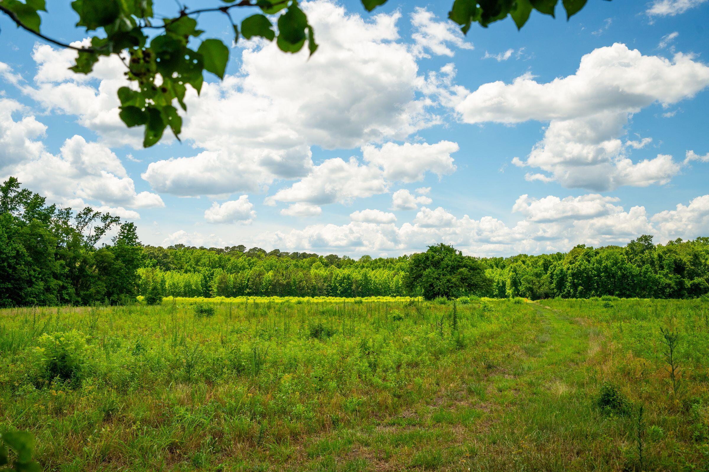 0 Rehoboth Road Cottageville, SC 29435 - Photo 2 of 35 RehobothRd-KeenEyeMarketing-002