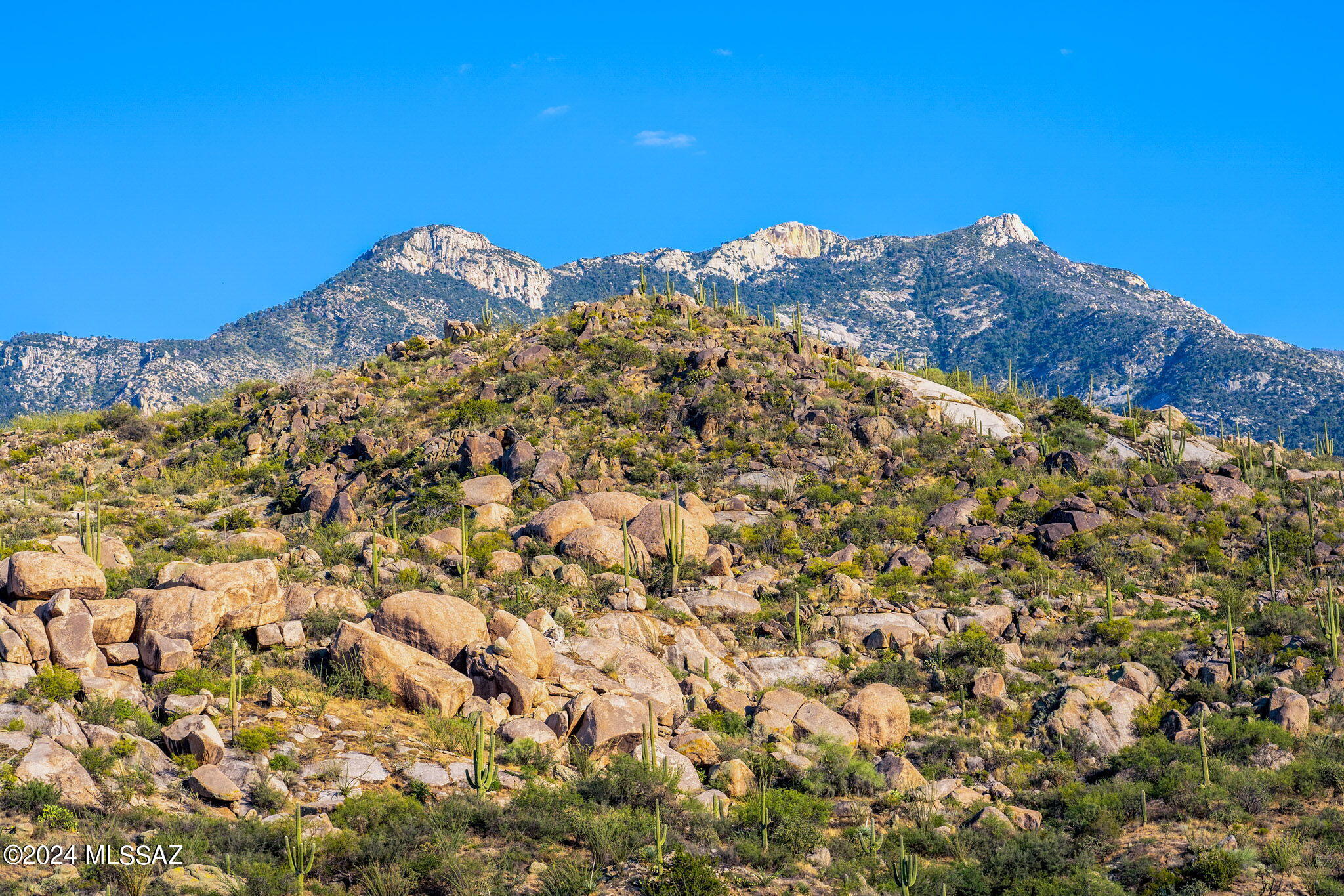 16500 North Ridge Rock Trail Tucson, AZ 85739 - Photo 16 of 29 12-web-or-mls-16500 N Ridge Rock Trail -