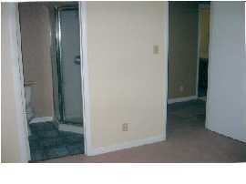 110 Fairview Drive Spring City, TN 37381 - Photo 5 of 6 Additional Photo