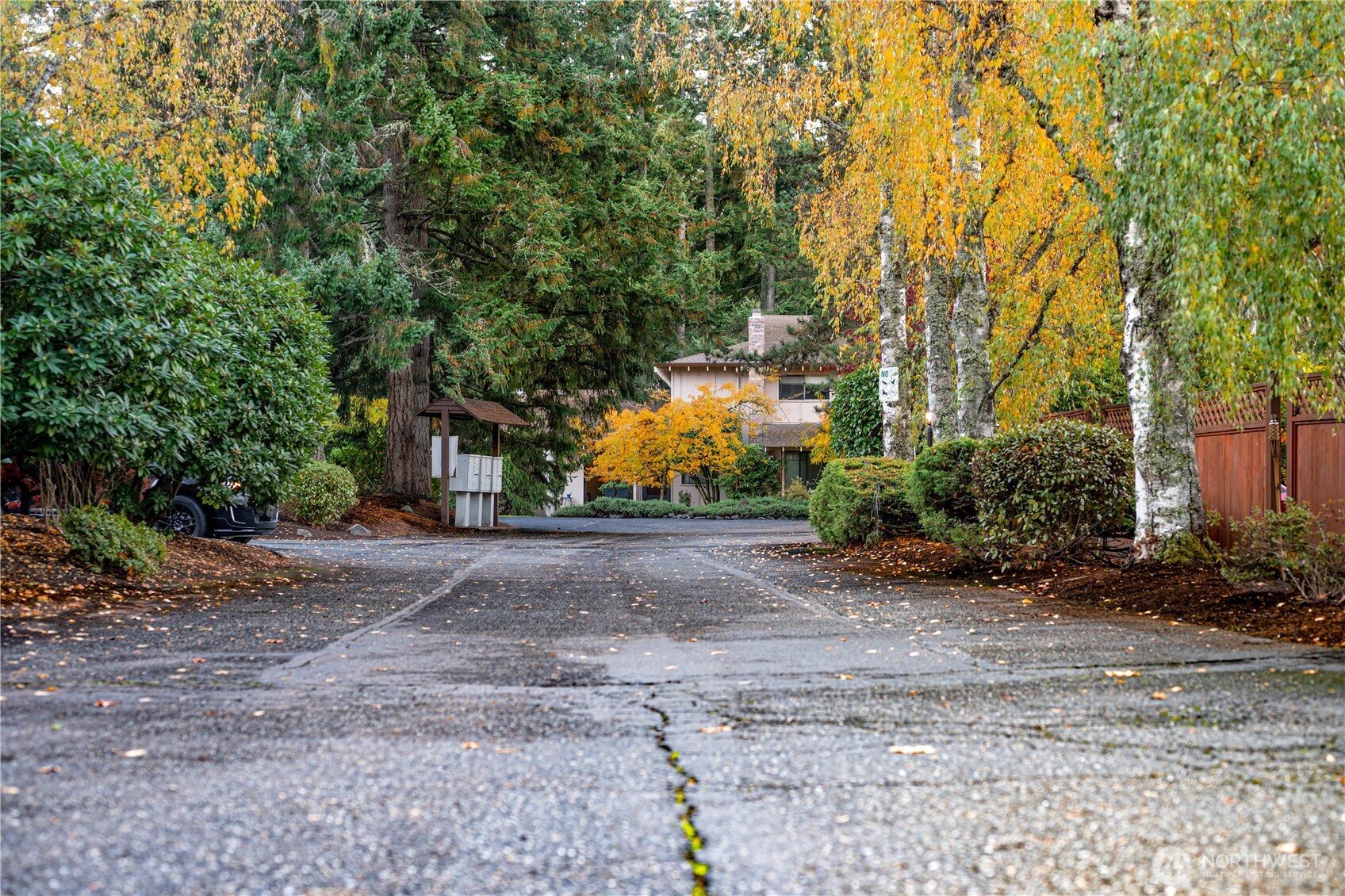 2802 Garden Court, Unit A Steilacoom, WA 98388 - Photo 24 of 29 a view of a yard with plants and trees