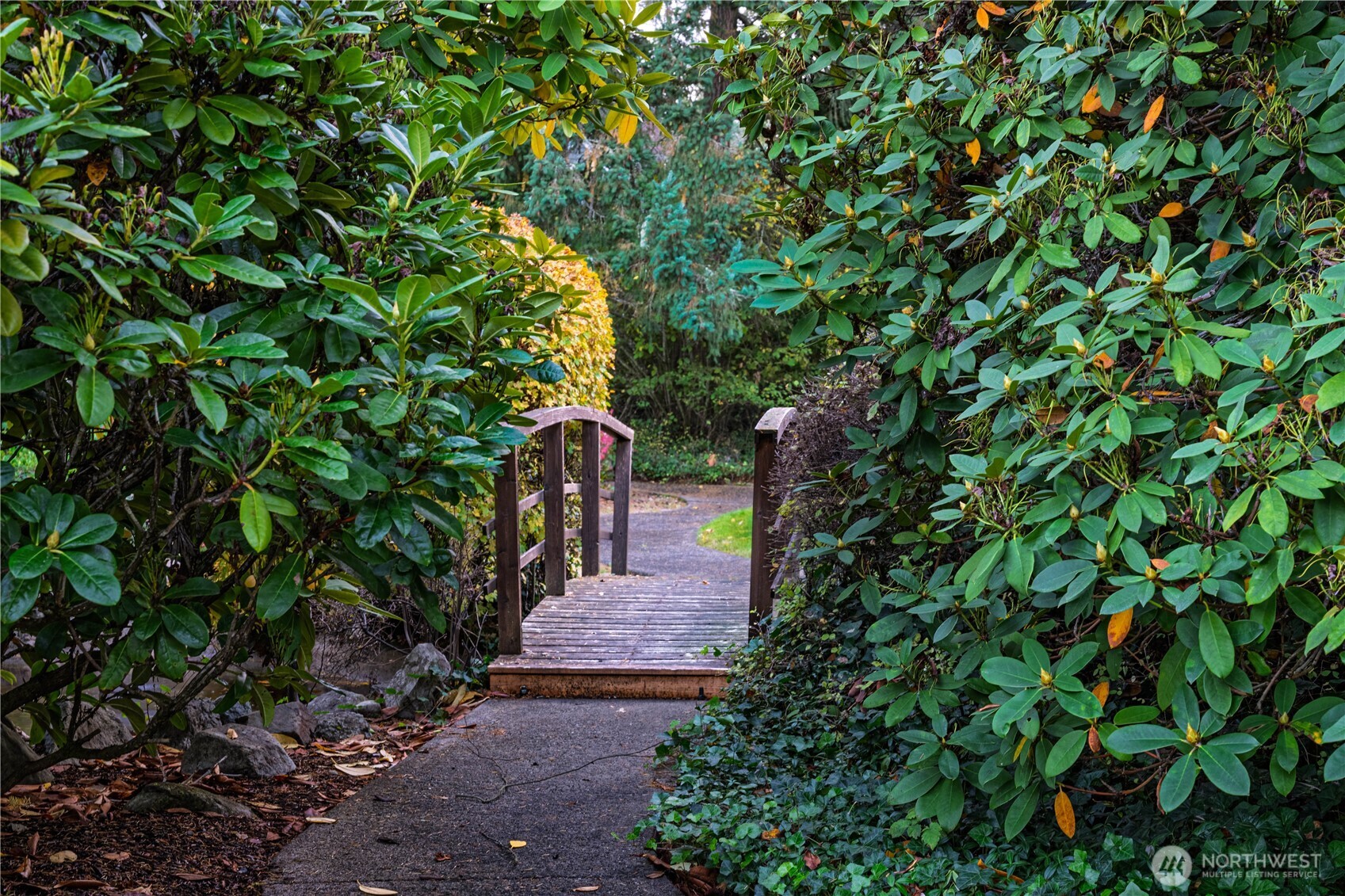 2802 Garden Court, Unit A Steilacoom, WA 98388 - Photo 26 of 29 a pathway of a tree