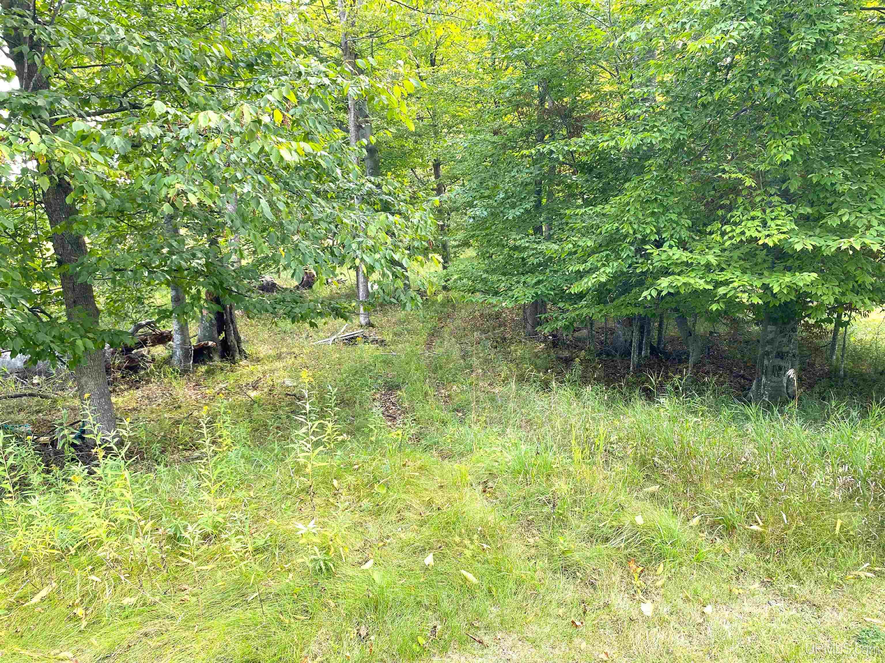 6682 D Road Bark River, MI 49807 - Photo 37 of 46 Gallery Image 37